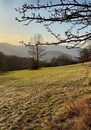 Vlastní království na dohled Děčína: Pozemek 25 018 m2 s panoramatickým výhledem, cena 950000 CZK / objekt, nabízí 
