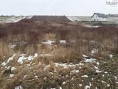 Pozemek, Korozluky 10 167 m, cena 25000000 CZK / objekt, nabízí 