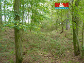 Prodej lesa, 675 m2, Dolní Habartice, cena 25000 CZK / objekt, nabízí 