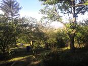 Prodej pozemku, U Kurtů, 1050 m2 , cena 2999000 CZK / objekt, nabízí 