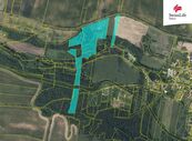 Prodej lesa 45243 m2, Chabařovice, cena 1400000 CZK / objekt, nabízí 